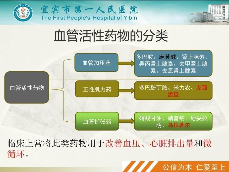 围术期血管活性药物的应用1培训课件_第5页