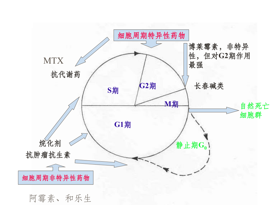 抗肿瘤药物简介、常见副作用及处理方案介绍ppt课件_第4页