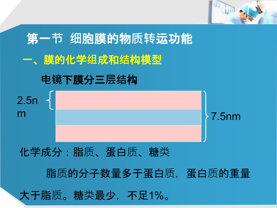 第1章 细胞的基本功能ppt课件_第4页