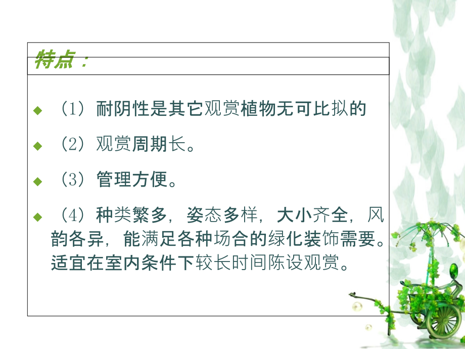 室内观叶植物ppt课件_第4页