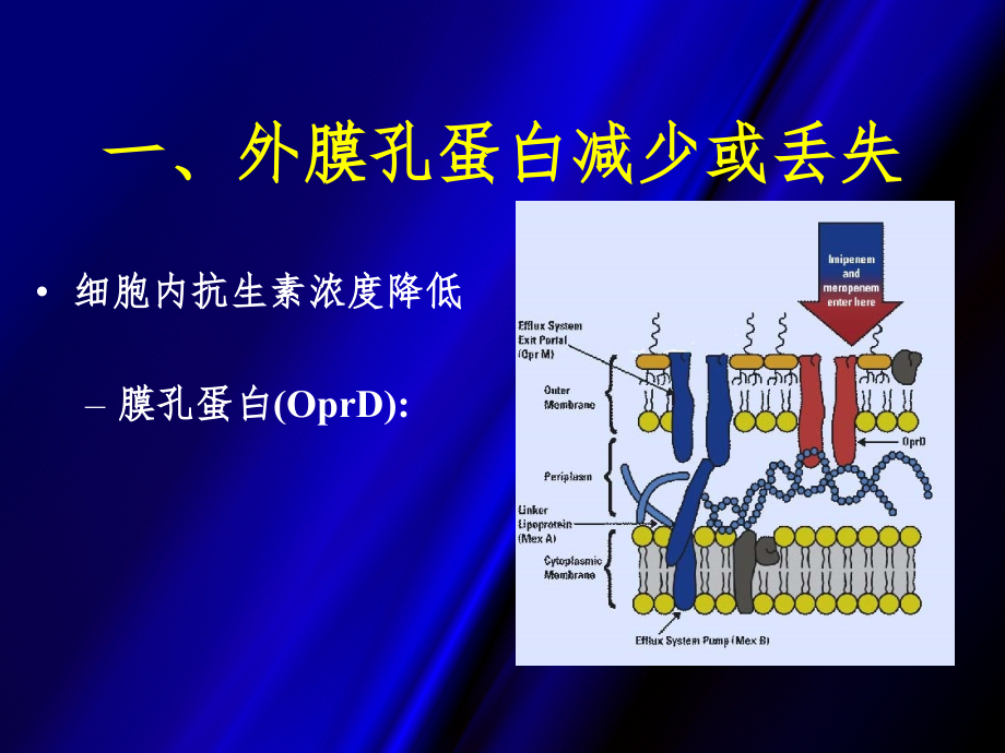 细菌耐药机制(huishi)ppt课件.ppt_第4页