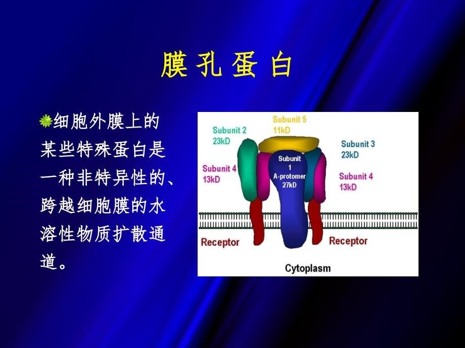 细菌耐药机制(huishi)ppt课件.ppt_第5页