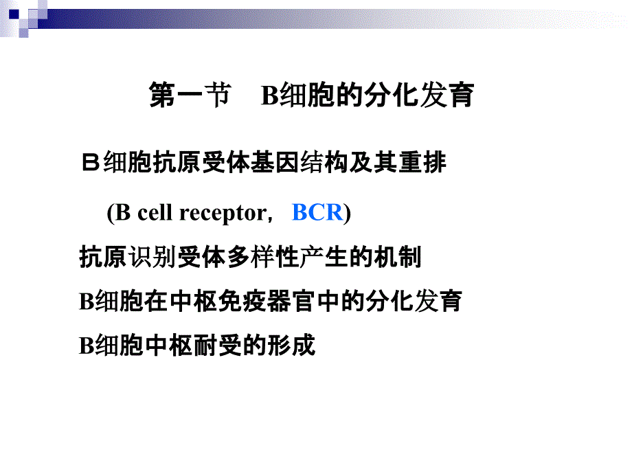 第9章 B淋巴细胞ppt课件_第4页