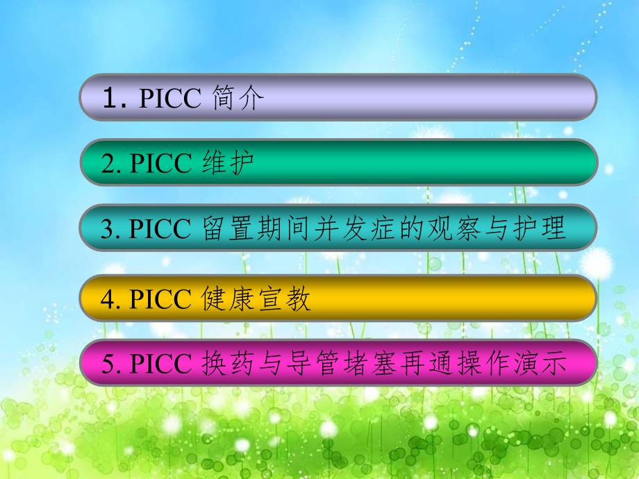 PICC护理ppt课件.ppt_第2页