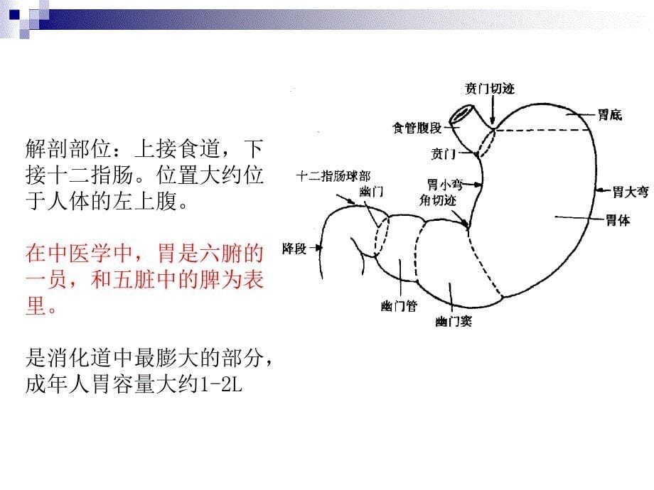 胃癌教学查房培训课件_第5页