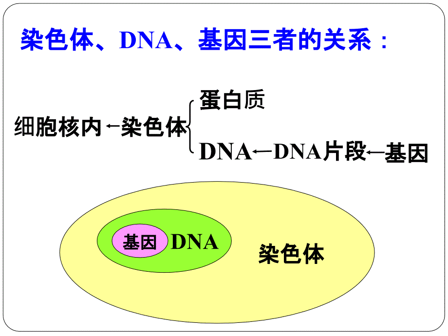 人的性状和遗传45486ppt课件_第1页