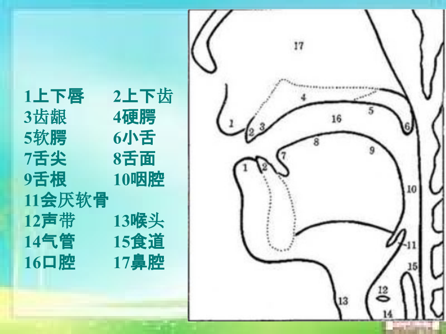 声母与韵母ppt课件_第3页