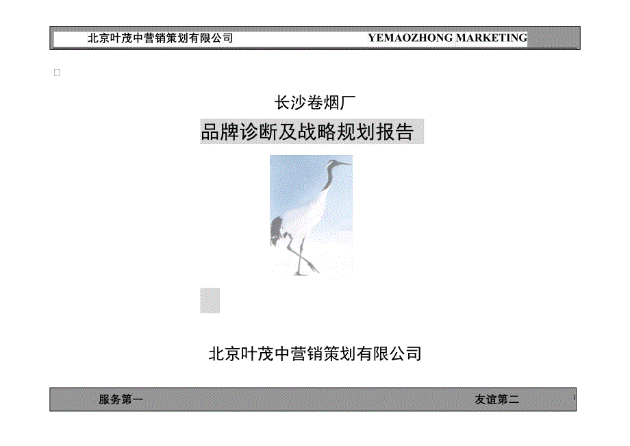 白沙品牌的诊断规划_第1页