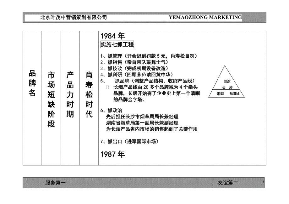 白沙品牌的诊断规划_第5页