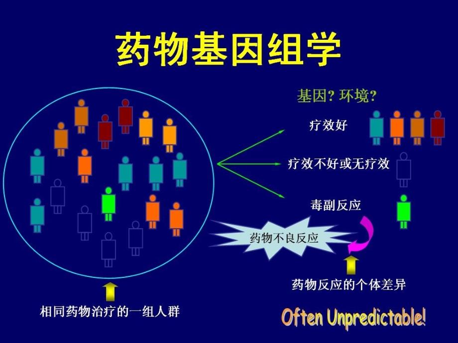 药物基因组学ABCppt课件_第4页