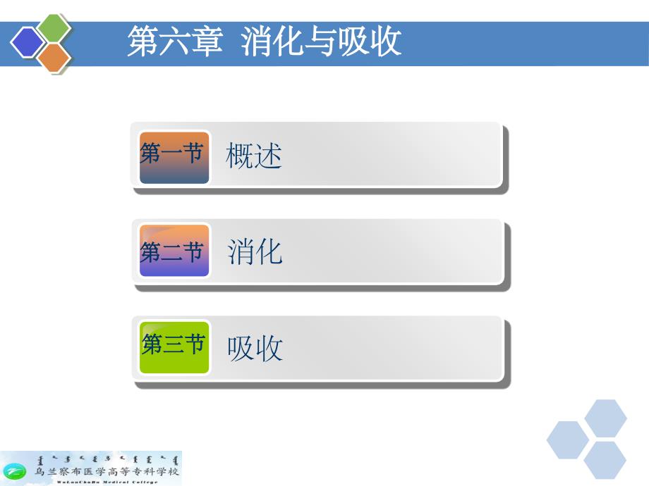 生理学 第六章 消化与吸收ppt课件_第2页