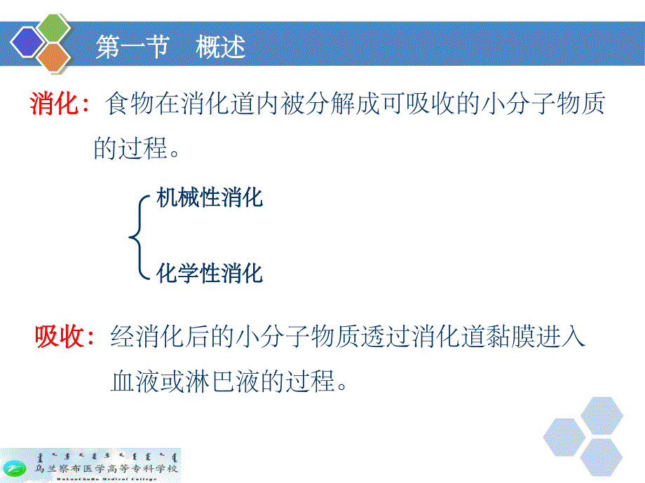 生理学 第六章 消化与吸收ppt课件_第4页