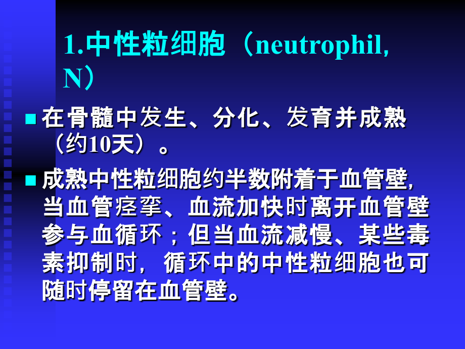 白细胞计数白细胞计数与白细胞分类计数 讲稿ppt课件_第3页