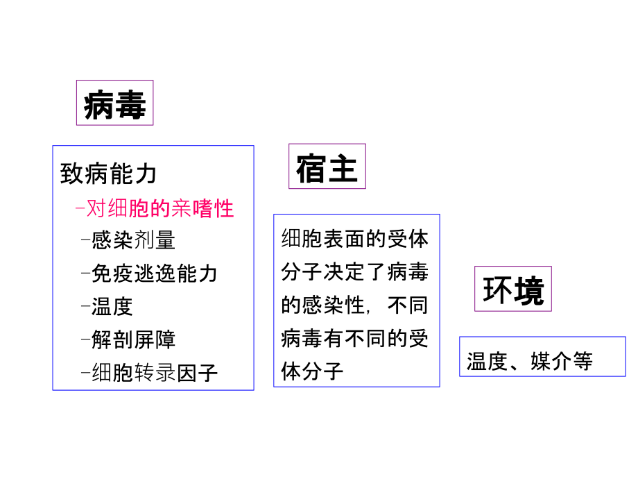 病毒感染与免疫PPT课件_第3页