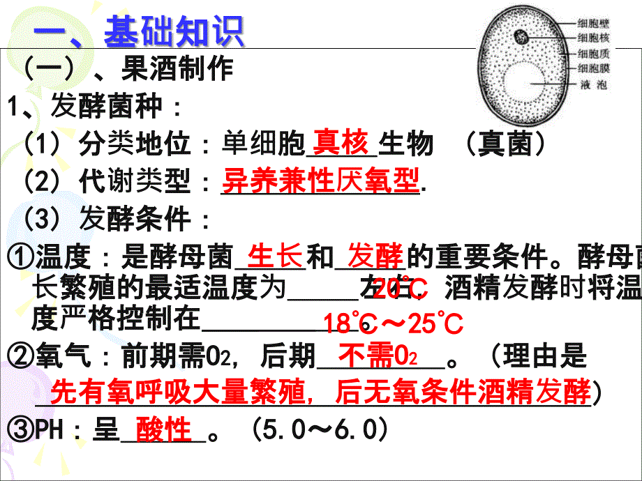 传统发酵技术PPT课件_第4页