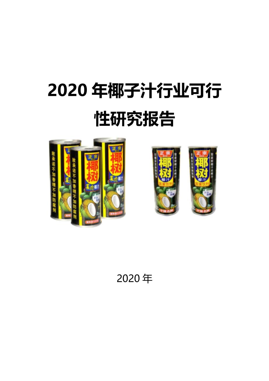 2020椰子汁行业可行性研究报告_第1页