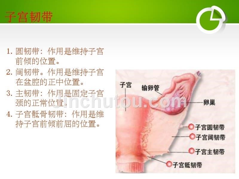 经腹全子宫切除术的手术配合ppt课件_第5页