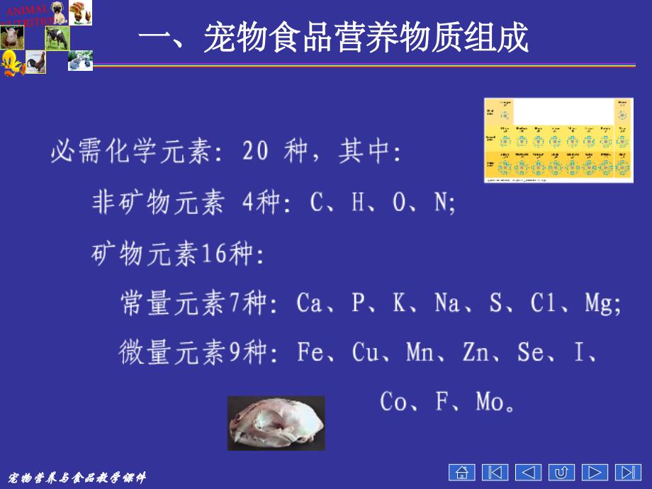 宠物营养学基本知识(能量与宠物营养)ppt课件_第4页