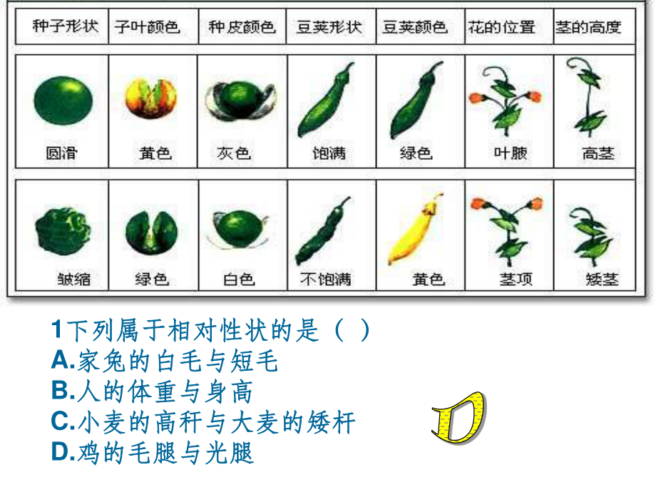 人教版高中生物必修二全套ppt课件_第4页