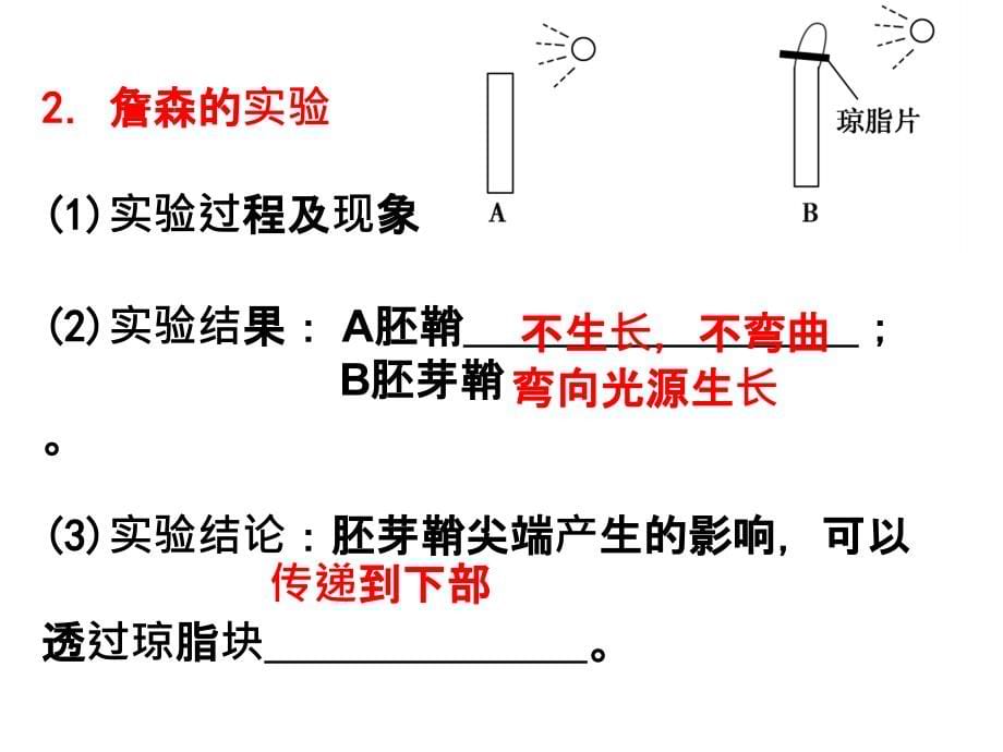 植物的激素调节复习ppt课件_第5页