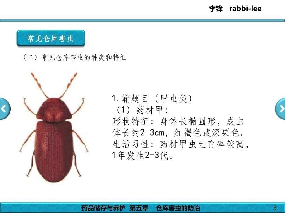 药品储存与养护 - 第5章 - 仓库害虫的防治ppt课件_第5页