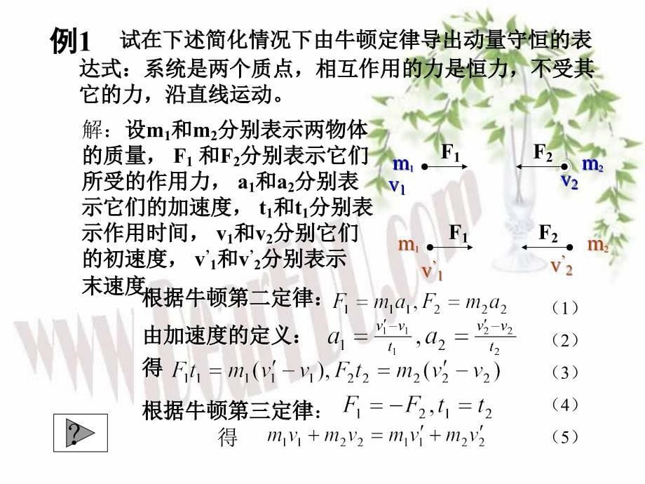 动量守恒高三物理复习.ppt_第5页