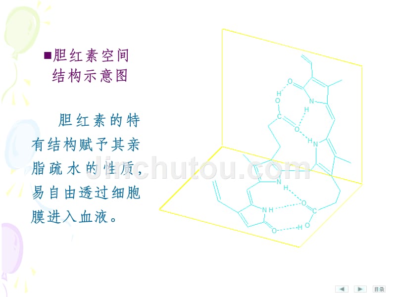 胆红素的代谢与各类黄疸的关系ppt课件_第5页