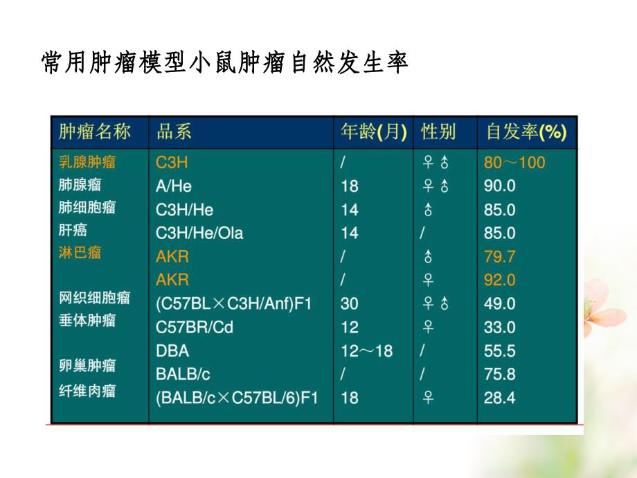 肿瘤动物模型ppt课件_第4页