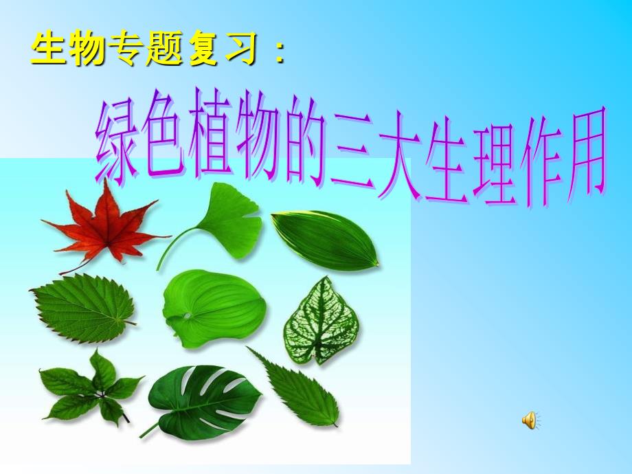 绿色植物的三大生理作用专题ppt课件_第1页