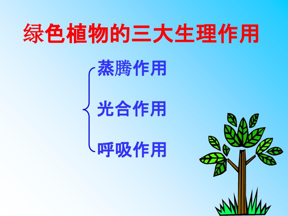 绿色植物的三大生理作用专题ppt课件_第3页