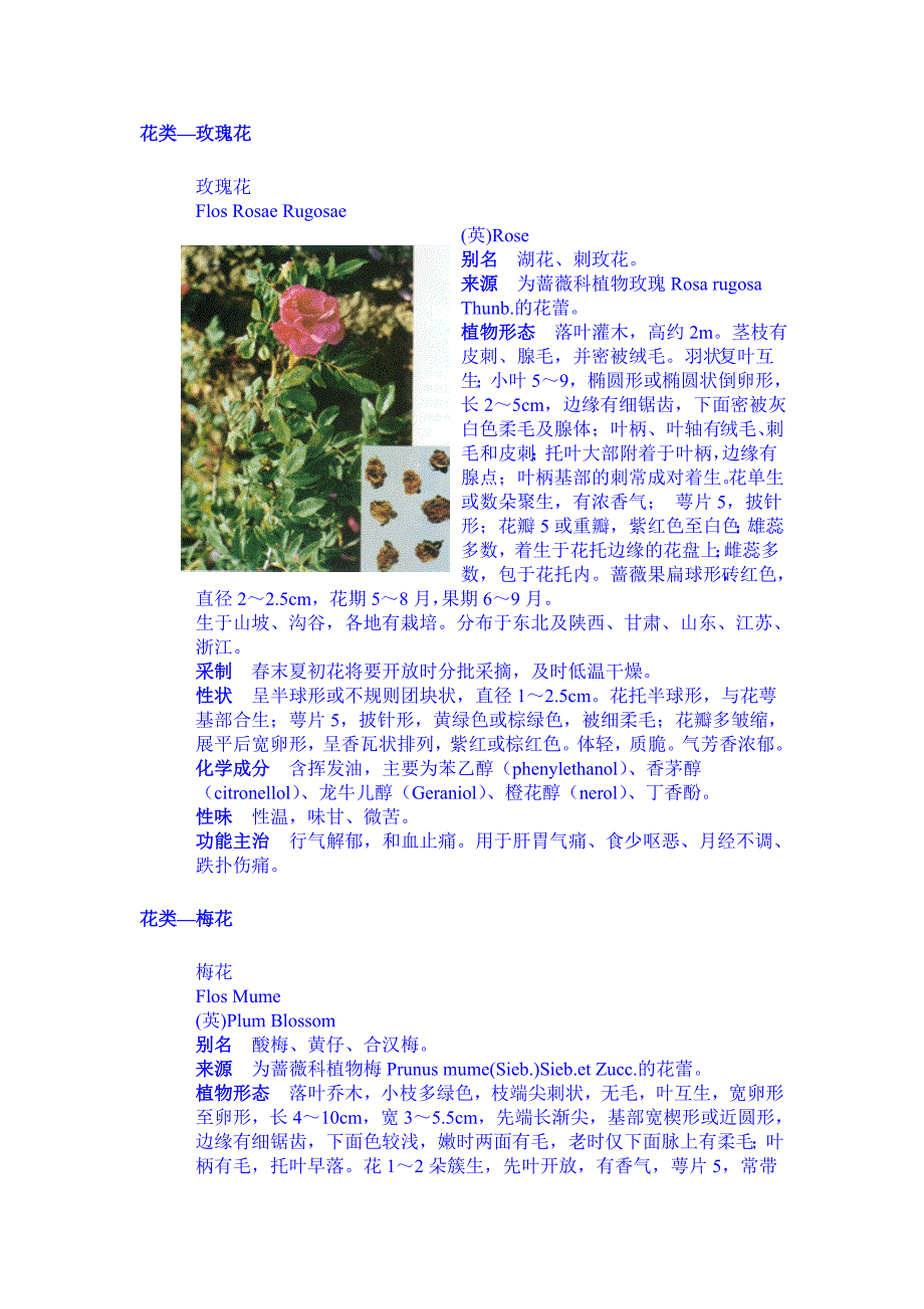 （医疗药品管理）中草药字典花种类MicrosoftWord文档_第4页