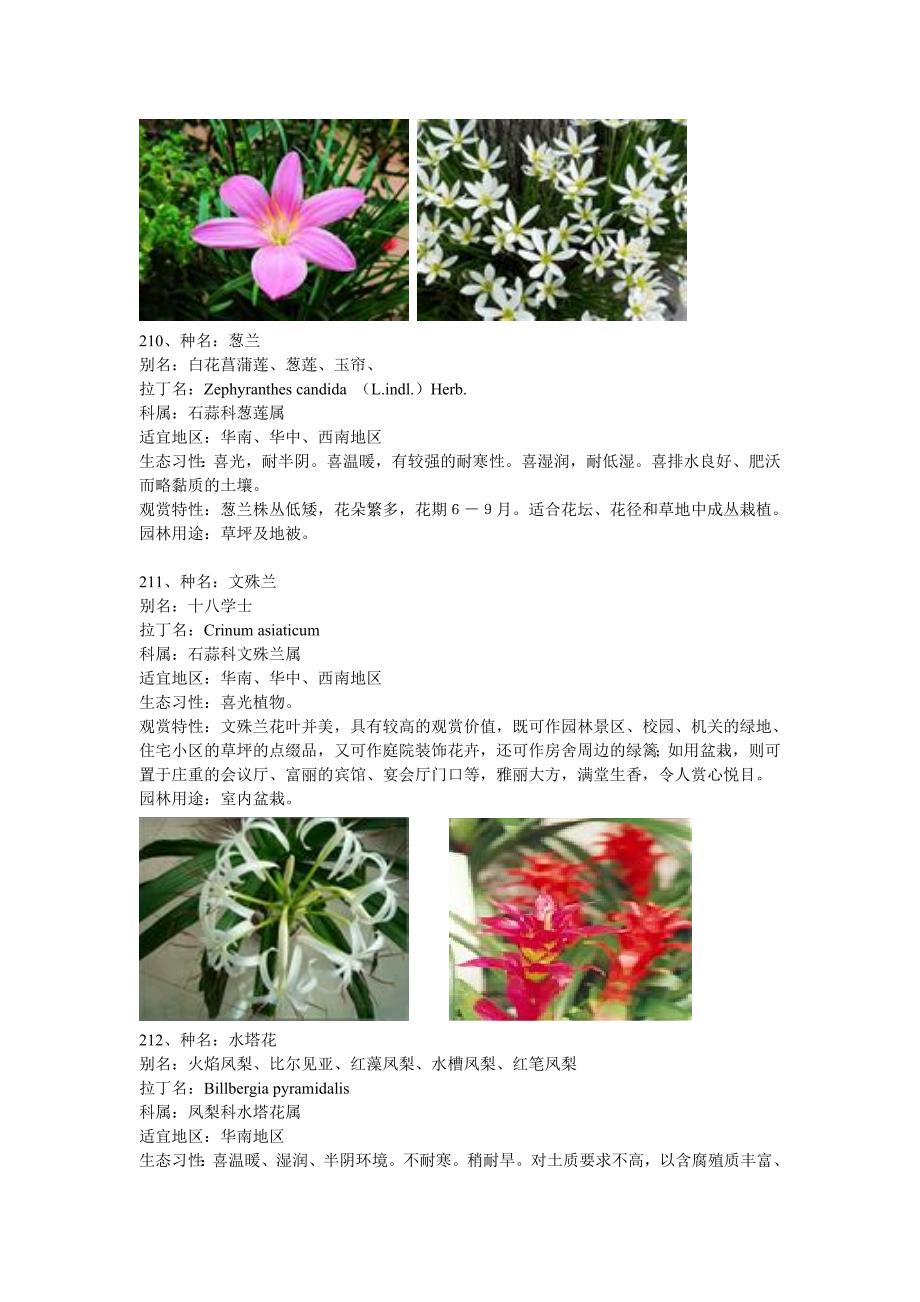 （园林工程）常见园林植物(广东省)_第4页
