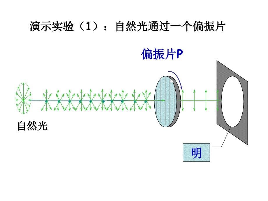 高中物理 第五章第三节光的偏振 鲁科选修34.ppt_第5页