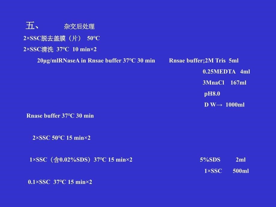 原位杂交操作流程PPT课件_第5页