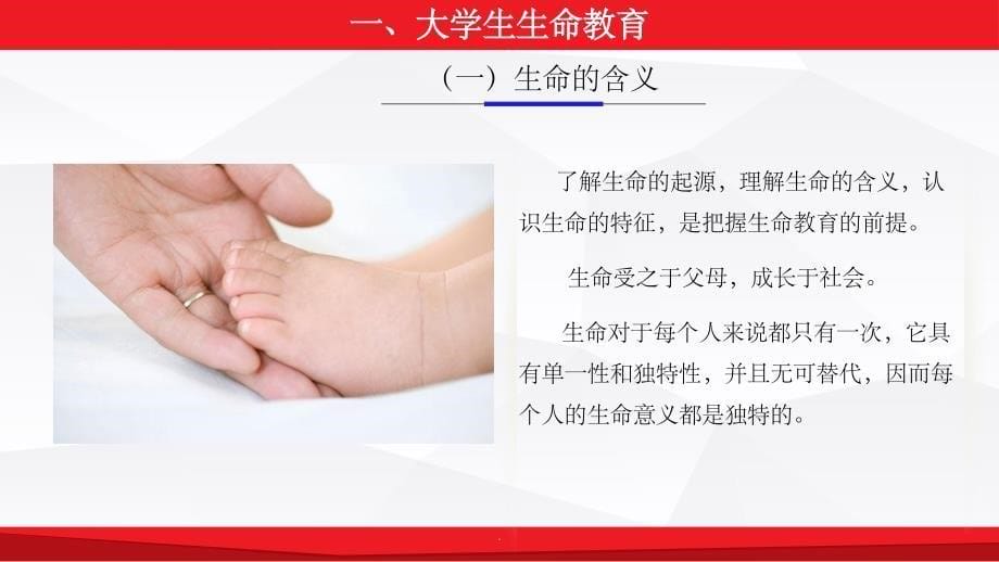 大学生生命教育与心理危机应对67732ppt课件_第5页