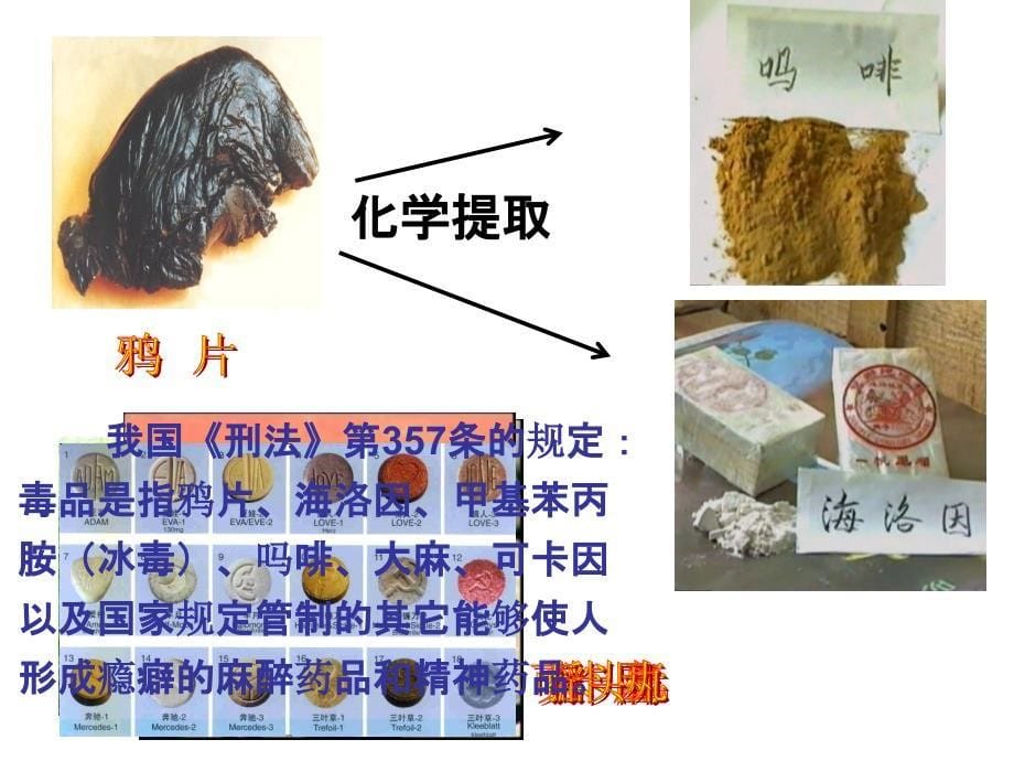 珍爱生命远离毒品宣传PPT课件_第5页