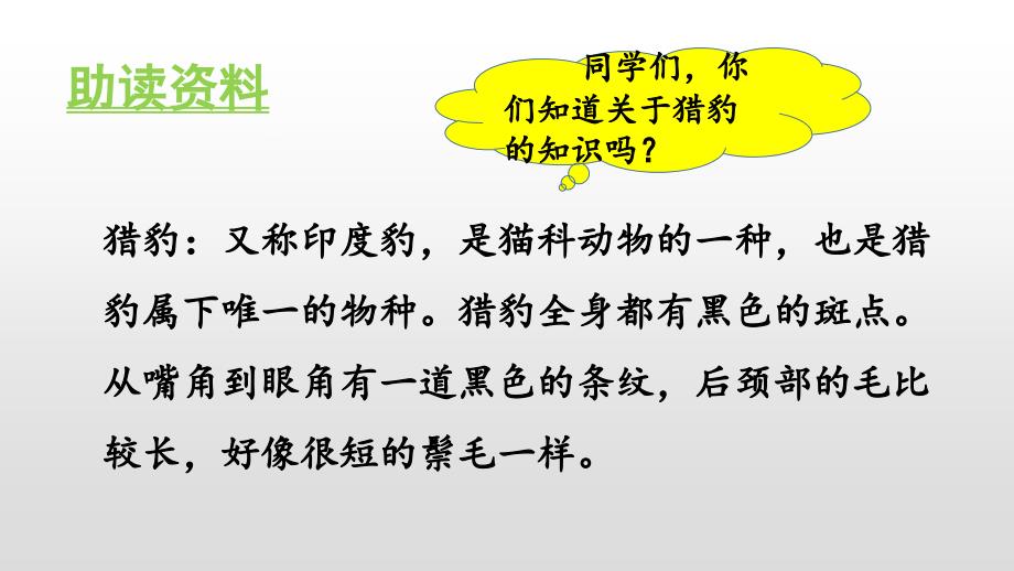 【省级优质课】人教部编版五年级上册语文《什么比猎豹的速度更快》课件_第4页