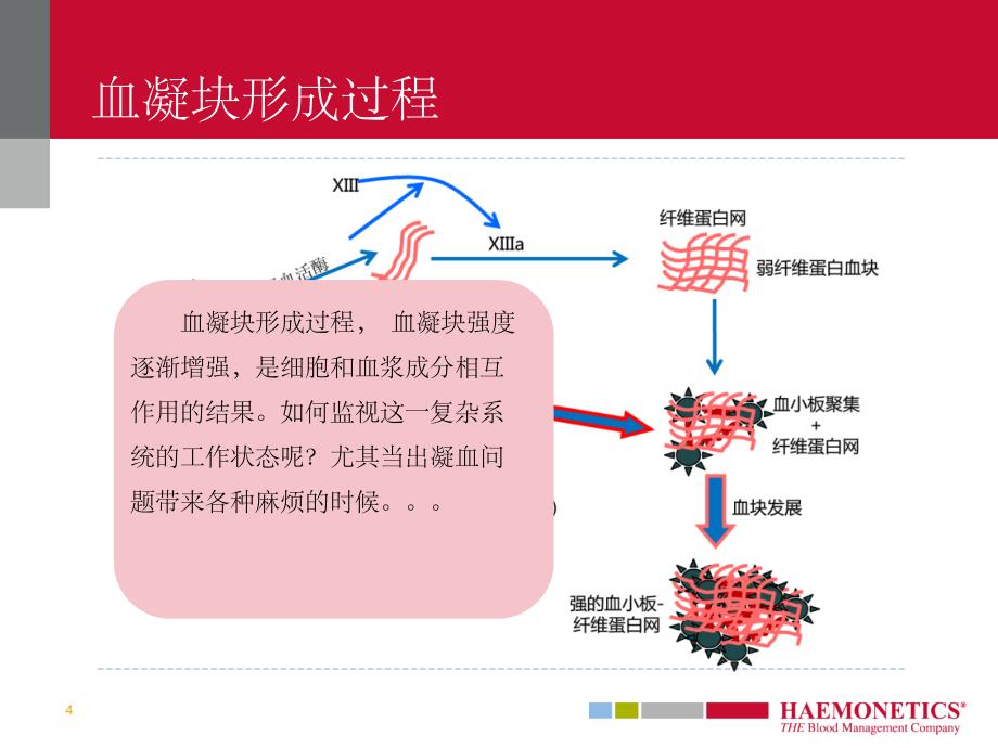 血栓弹力图TEG-PPT课件_第4页