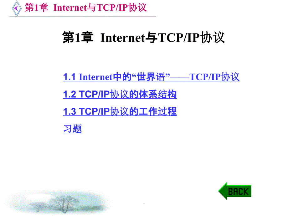 第1章 Internet与TCP协议ppt课件_第1页