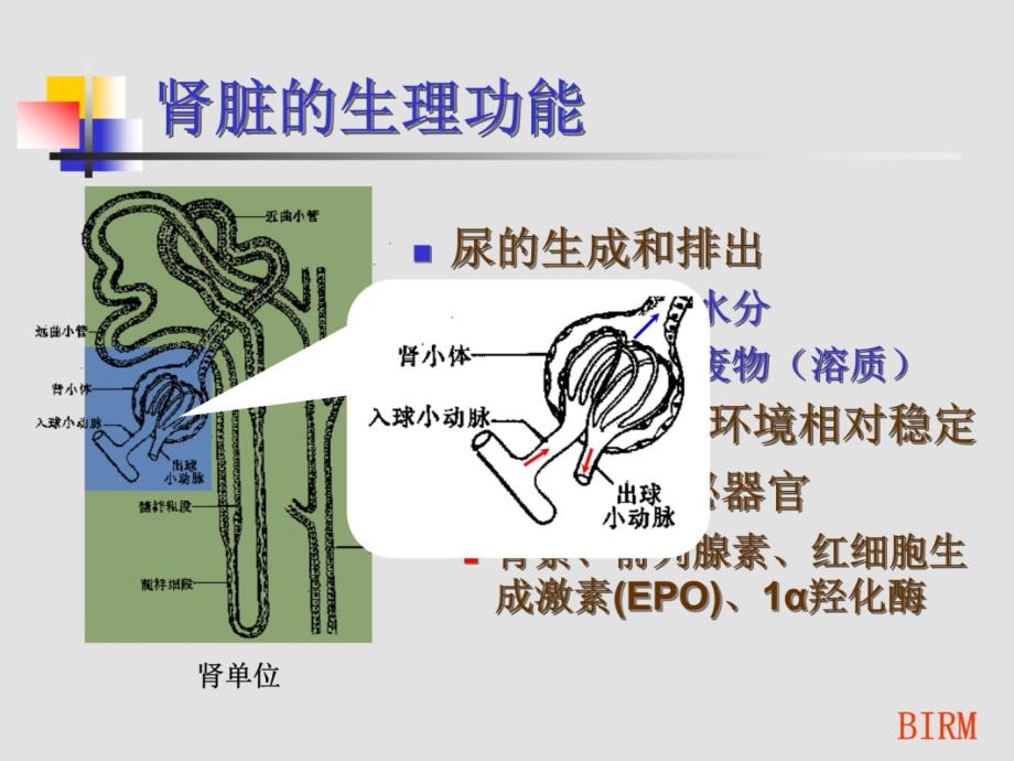 CRRT的基础知识幻灯片课件_第3页