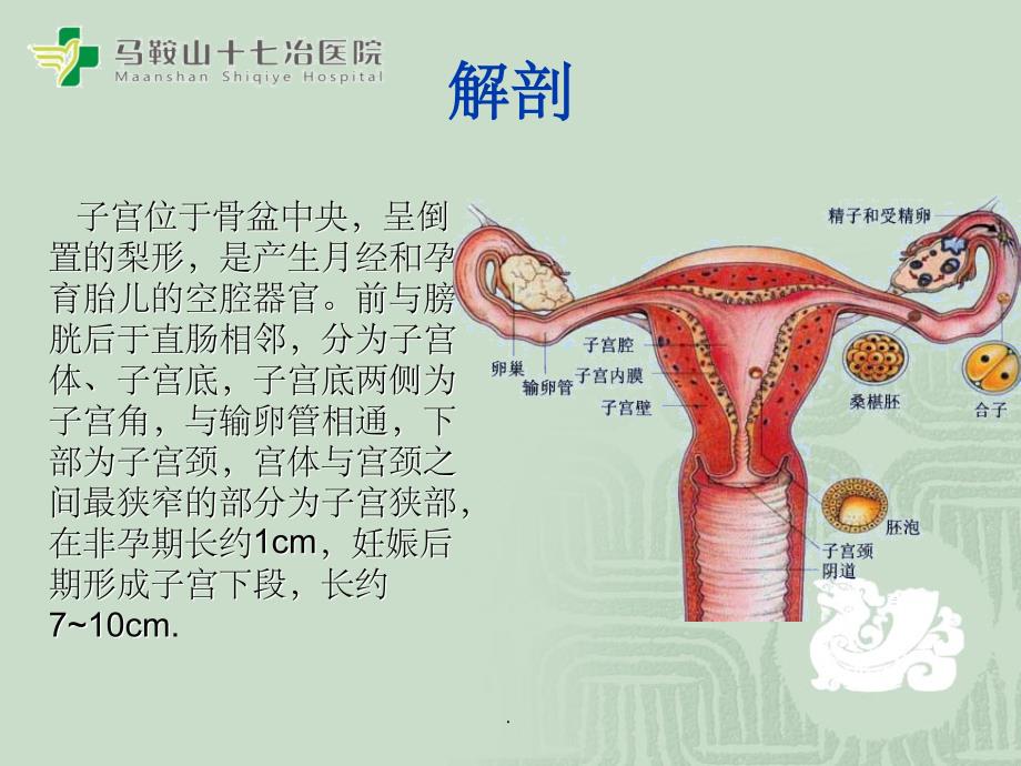 剖宫产手术配合及护理查房PPT课件_第3页