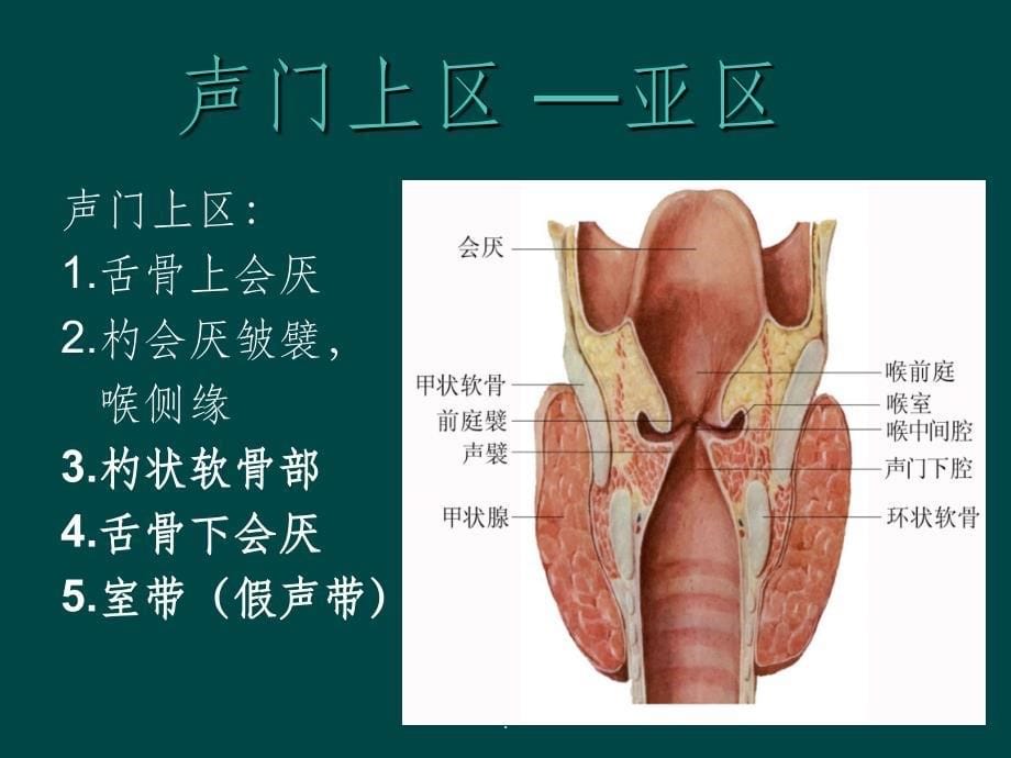 喉癌分期(终版).ppt课件_第5页