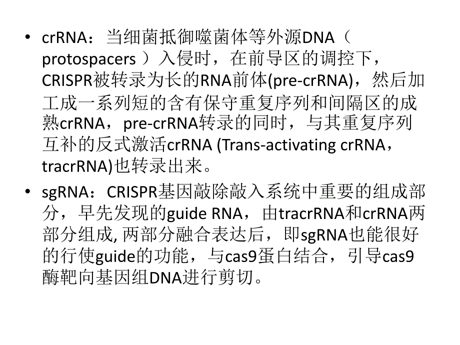 crispr原理解析培训课件_第4页