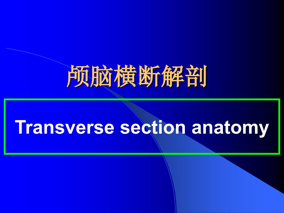 颅脑横断解剖ppt课件_第1页