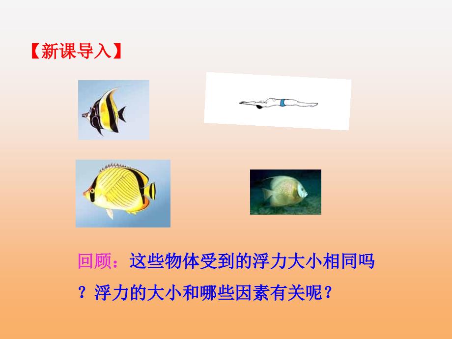 八年级物理下册10-2阿基米德原理课件（新人教版）_第3页