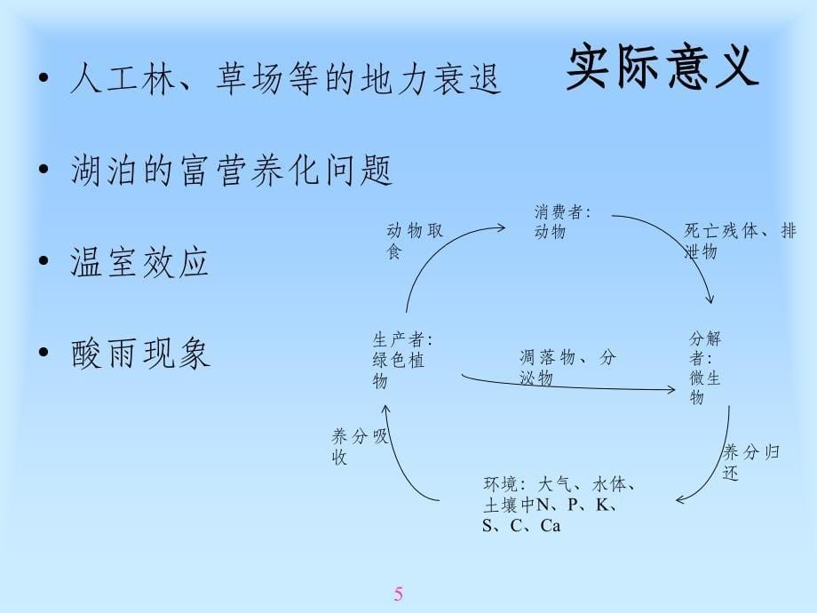 森林生态系统的养分循环ppt课件_第5页