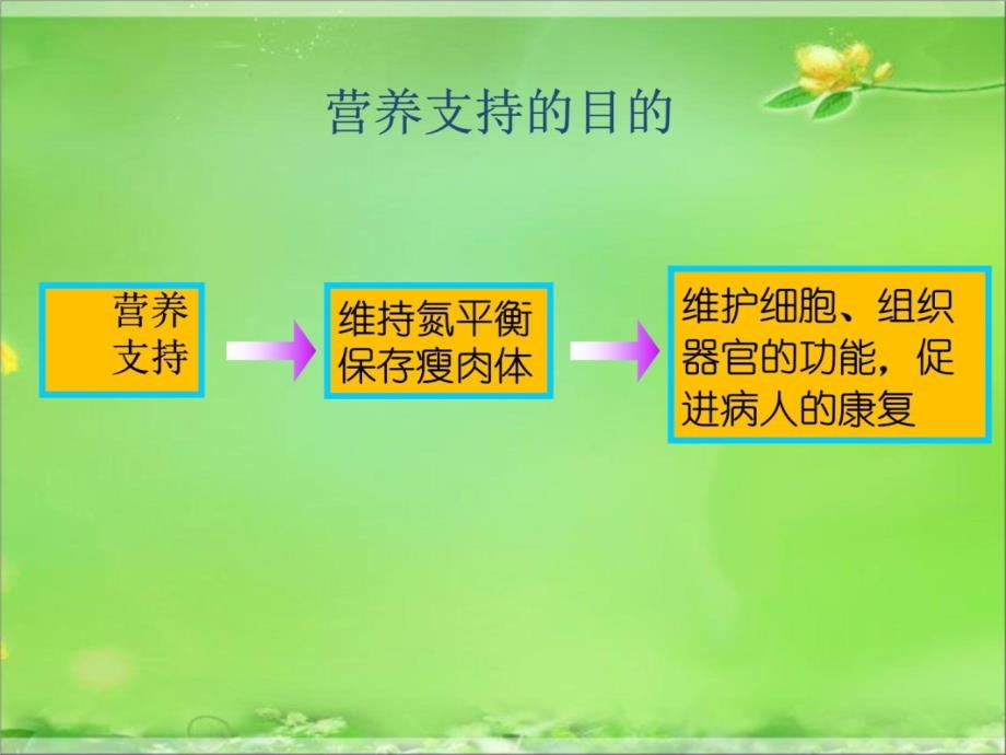 肠外营养课件教学文案_第3页