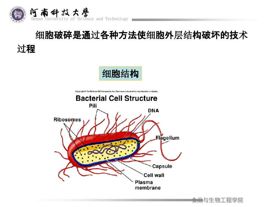 03第三章 酶的提取与分离纯化ppt课件_第4页