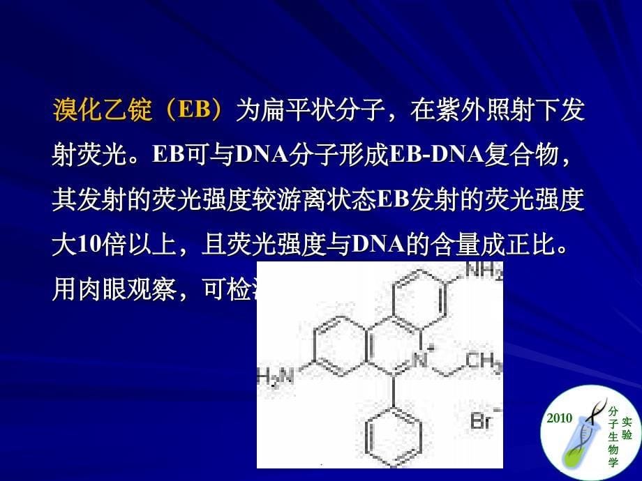 实验二 琼脂糖凝胶电泳PPT课件_第5页