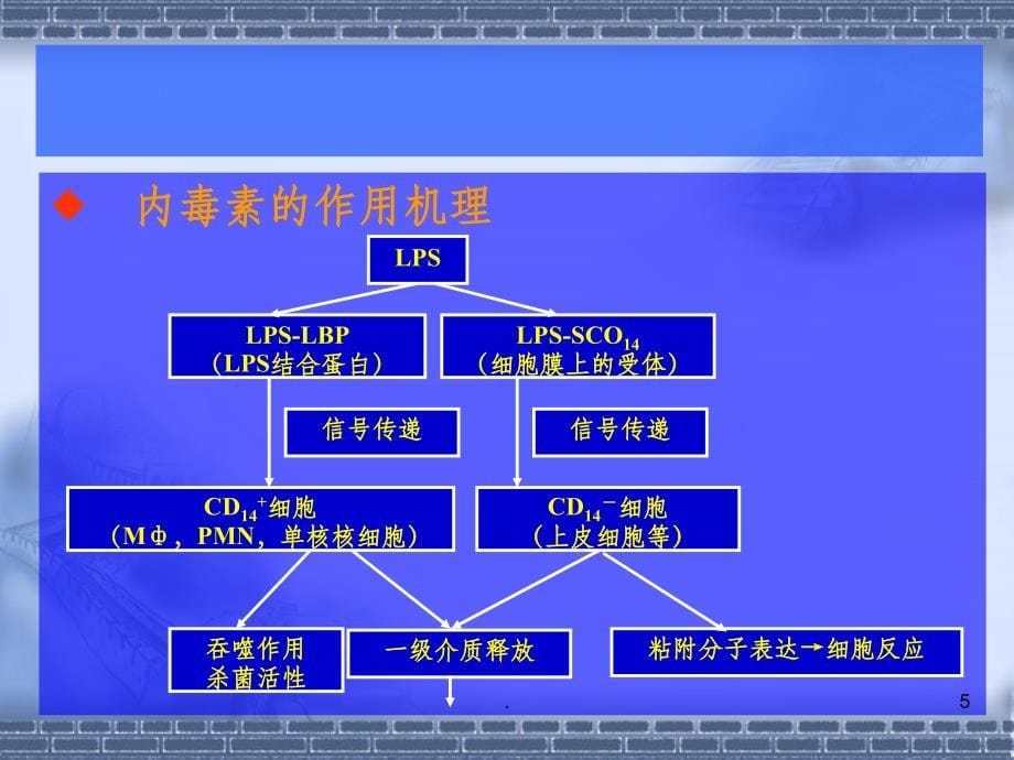 内毒素检测进展ppt课件_第5页